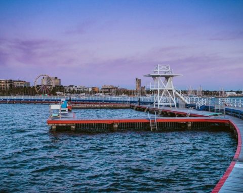 Picture3-ImResizer-single